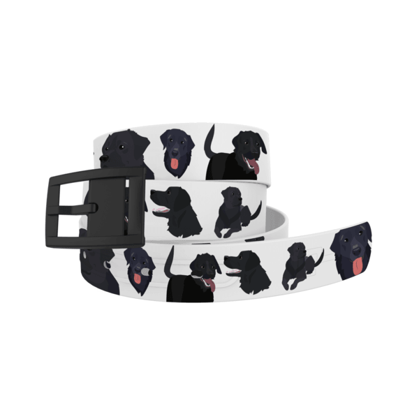 C4 Belts - The Salty Mare