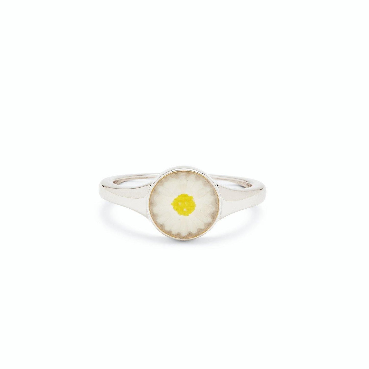 Puravida Ring Collection 5 - The Salty Mare