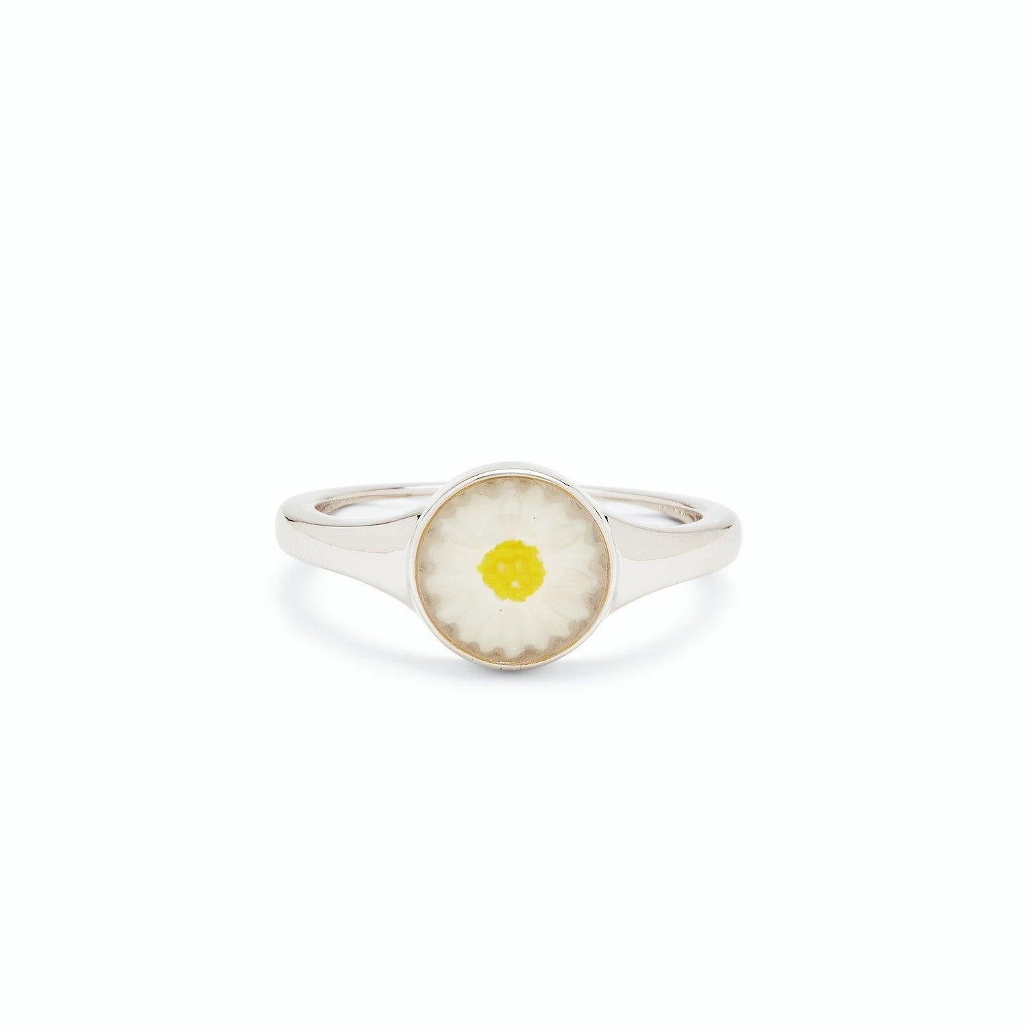 Puravida Ring Collection 5 - The Salty Mare