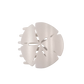 Sand Dollar | Large | Flat Shape Hair Clip