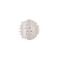 Sand Dollar | Small | Flat Shape Hair Clip