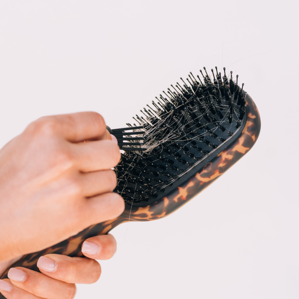 Boar Bristle Hair Brush | Tortoise