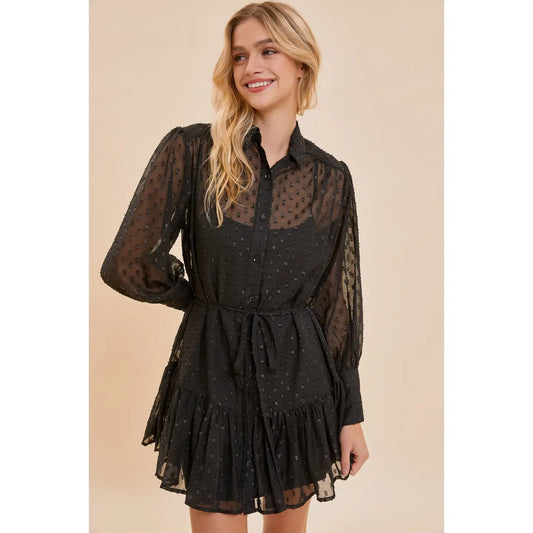 Sheer Flare Ribbon Dress