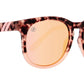 H Series Collection - The Salty Mare