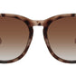 H Series Collection - The Salty Mare