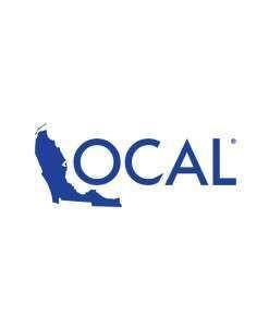 Local Decal 16" - The Salty Mare