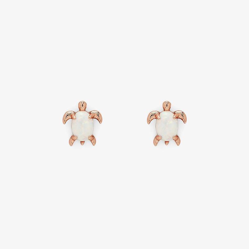 Summer 2021 Earrings - The Salty Mare